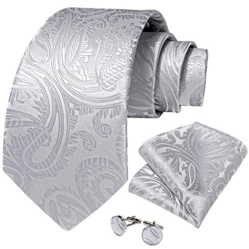 Dibangu Silver Tie Paisley Ties For Men Tie And Pocket Square Set Tie Accessories For Men Jacquard Woven Silk Necktie #TOP4
