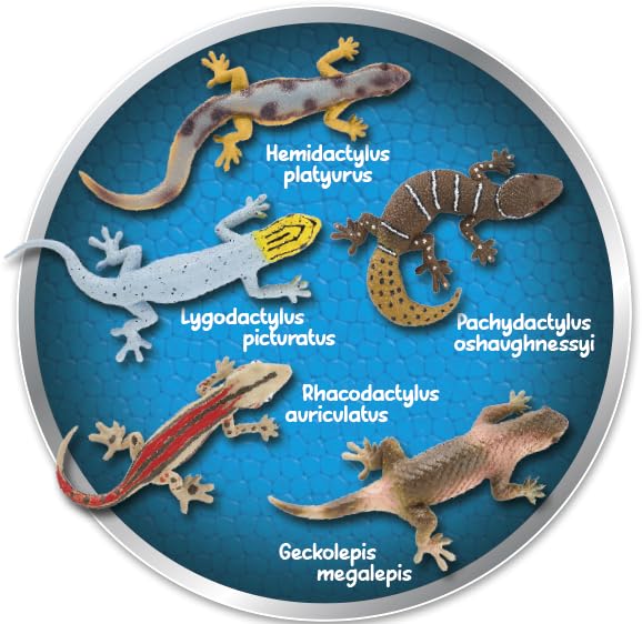 Geckos Next Level Sammelserie Planet Wow Display - alle 20 Figuren garantiert