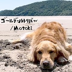 �S�[���f�����g���o�[ / Motoki