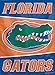 Produktbild Wincraft NCAA Florida Gators Gartenflagge