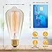 60 Watt Incandescent Edison Light Bulbs, Vintage Dimmable E26 Bulbs, ST64 2200K Warm White Antique 260LM E26 Medium Screw Base Amber Filament Bulbs for Home, Bedroom, Office, Decorative Lamp(4-Pack)