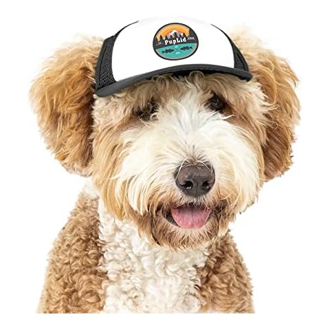 Sunset Collection, PupLid Trucker Hats for Dogs (Small) Premium Stylish Sun Protection for The Modern Dog - Adjustable for Secure Comfortable Fit on Active Dogs (Black, All-Terrain) Cover