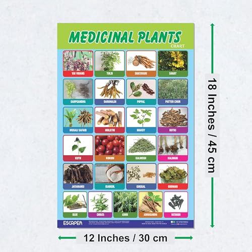 Image of ESCAPER Medicinal Plants Educational Charts for Kids, Charts for Kids Learning (11.5 x 17.5 inches), Kids Study Material, Kids Learning Books, Educational Posters