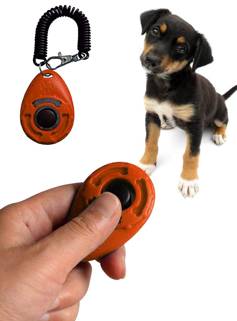 Sage Square Pet Training Clicker with Wrist Strap and Strap Hook for Dog/Cat/Kitten/Puppy/Bird (Orange) (B07PN4GR2B) Amazon Price History, Amazon Price Tracker