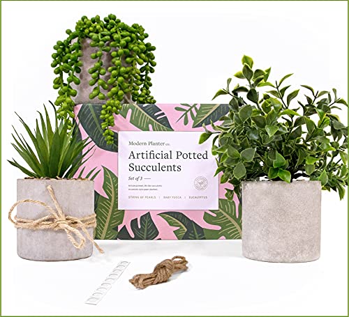 Modern Planter Fake Potted Plants Decor (3 set) - Farmhouse Plants up to 12"- Use Fake Plants for Shelves, Fake Desk Plants or Desk Decor. Faux Potted Plant for Farmhouse Office Decor, Bathroom Plants