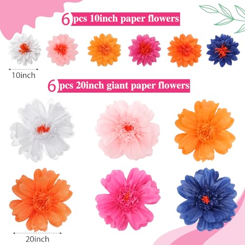 Image of TaoBary Large Colorful Tissue Paper Flowers Giant Fiesta Paper Pom Poms Classroom Wall Decor Mexican Birthday Party Decorations Wedding Backdrop(20 inch and 10 inch,Light Color,12 Pcs)