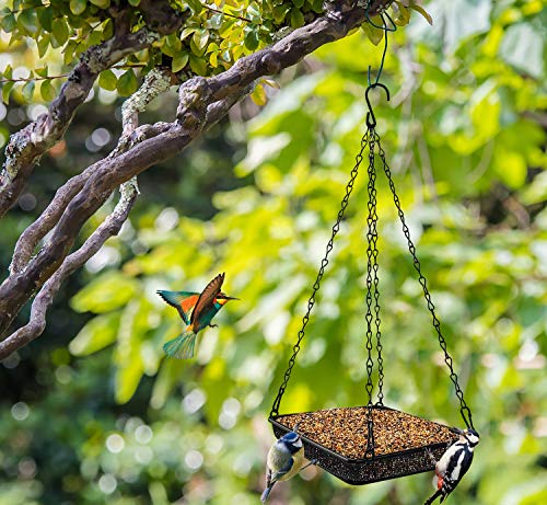 Mixxidea Hanging Bird Feeder Tray Metal Mesh Platform Seed Feeder With Durable Chains For Outdoors Garden Great For Attracting Birds (2 Pack) #TOP4