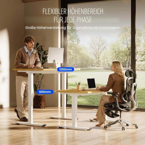 FLEXISPOT Höhenverstellbarer Schreibtisch mit Dualmotor 160×80 cm – Ansicht 6