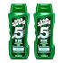 Irish-Spring 5-in-1 Shampoo, Conditioner, Body Wash, Face Wash and Deodorizer, 18 oz (Pack of 4)