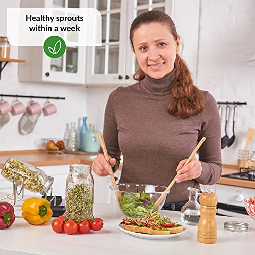 Leafimpact 1 Pack Seed Sprouting Jar Kit | Complete Indoor Growing Set For Making Sprouts | Easy Fresh Sprouts At Home thumb #1