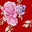 Pink & Purple Rose