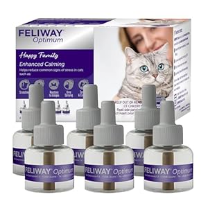 FELIWAY Optimum 6 x 30 Day Cat Calming Refills for Pheromone Diffuser, 6 x 48ml Value Pack – Helps Reduce Common Signs of Stress in Cats & Kittens, Enhanced Calming