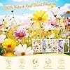 124 Pcs Dried Pressed Flowers for Resin Crafts, Real Pressed Wildflowers Natural Dry Leaves Bulk with Tweezer for Epoxy Resin Jewelry Molds, Candle Soap Making, Scrapbook, Bookmark, Nails Decor #3