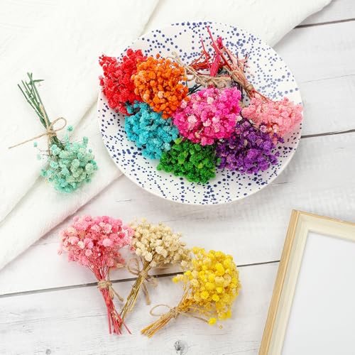 Mini ramo de flores secas PATIKIL 6 piezas miniatura 4