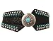 Nocona Women's Wide Concho Belt - N3425601