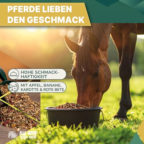 ALL-WIN Horse Colorado Müsli 15 kg | Haferfreies Pferdefutter | mit Apfel, Banane & Kräutern | Hohe Schmackhaftigkeit – Ergänzungsfuttermittel für Vitalität & Glanz
