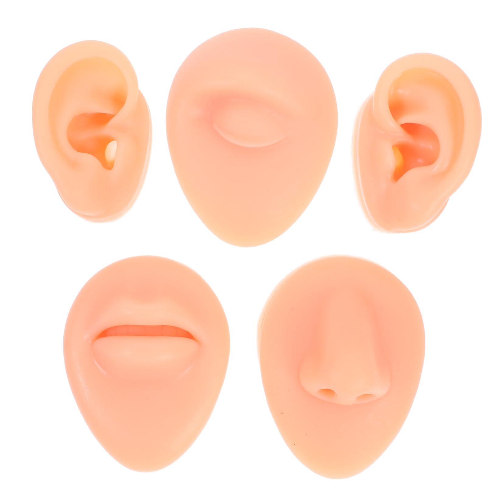 MOLUCKFU Set of 5 Silicone Piercing Practice Models: Ear Nose Lip Realistic Simulation Ear Model for Training Craftsmanship