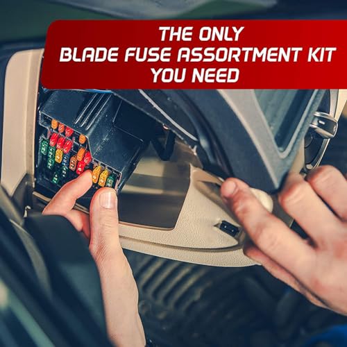 Kit surtido de 800 fusibles para automóvil tipo Vane/Wing mini y estándar con caja de almacenamiento miniatura 5