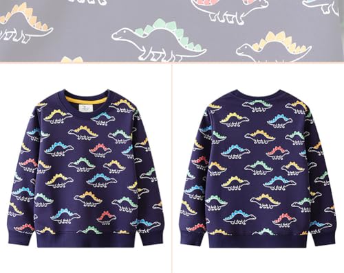 Boys Sweatshirts Casual Sweatshirts Cotton Sweatshirts Long Sleeve T-shirts Crew Neck Cartoon Tops for Boys-6664