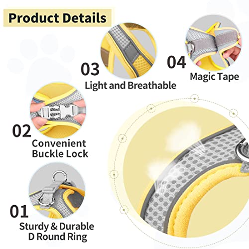 Hpethf Dog Harness For Small Dogs Leashes Set,Soft No Pull Adjustable Breathable Mesh Leash And Harness Vest Belt For Puppy,Small,Medium Dogs And Cats.（Yg-Xs） #TOP3