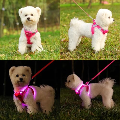 Feycig Leuchtend Hundegeschirr LED Aufladbar - Leuchtgeschirr Leuchtendes & Reflektierendes für Welpe Klein Mittlere Hund, Brustgeschirr Hundegeschirr, Atmungsaktiv Leucht Geschirr (Pink, X-Small)