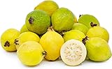 Fresh Guava, Non-GMO (1 Pounds)