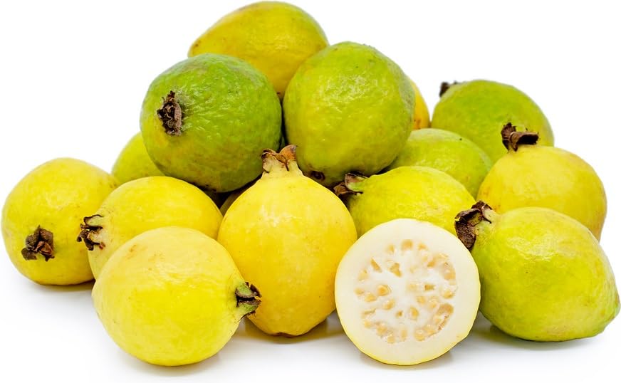 Amazon.com: Fresh Guava, Non-GMO (4 Pounds)