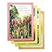 DaySpring Sympathy - Inspirational Boxed Cards - Peace, Multi-Colored (51726)