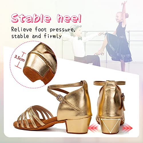 HIPPOSEUS Girls Latin Dance Shoes Low Heel Satin Ballroom Salsa Dance Practice Performance Dancing Shoes,Model 202GB4
