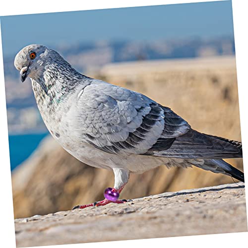 BESPORTBLE 10 Peças Tornozeleira De Pombo-Correio Anéis De Perna De Aves Marcadores De Perna De Fran