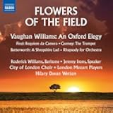 Flowers Blooming in the Wild ~ Finze: Requiem da Camera, Others