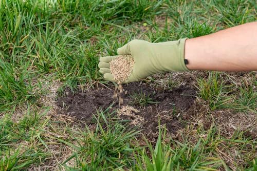 Lesco Sun & Shade Park Grass Seed - 10 lbs. Non-Returnable - Covers 1,000-2,000 sqft.