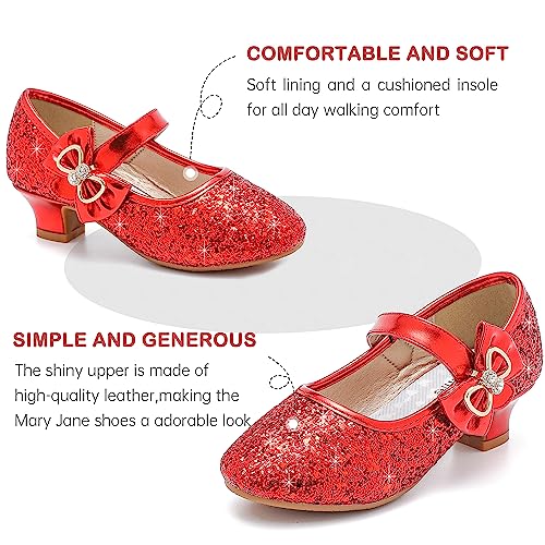 Image of Dufannie Girls Dress Shoes Low Heel Princess Flats Mary Jane Flower Wedding Party Glitter Shoes for Kids Toddler