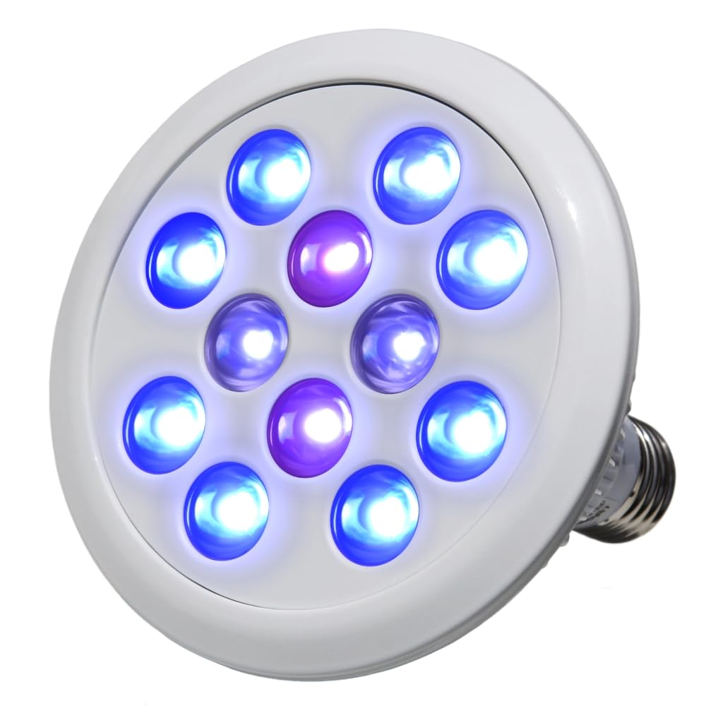 Amazon.co.jp: B.R.S Lighting Master 24DCⅡ【UVディープ】55,000K
