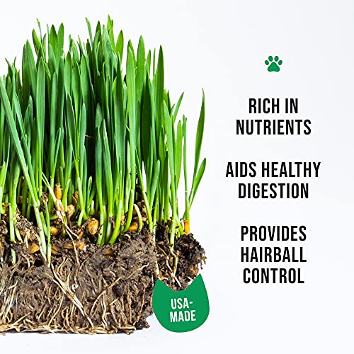 The Cat Ladies Cat Grass Refill Kit 100% Organic 3 Pack - Image 3