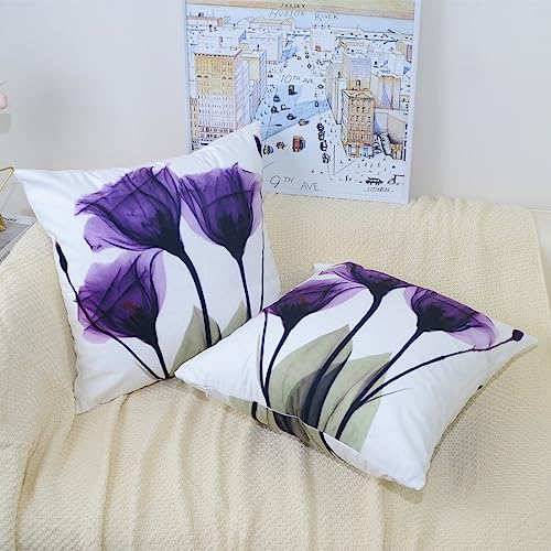 Home Page - Paul - Cosy Home Interiors