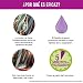 FullMarks Loción Antipiojos para Niños con Lendrera, sin Pesticidas, Inoloro e Incoloro...