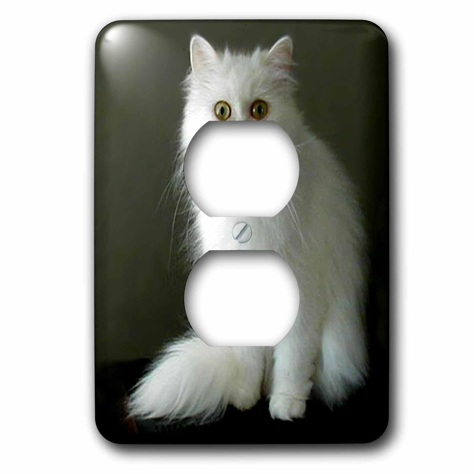 Persan 2 capot de prise blanc plaque de finition decorative lsp_1003_6