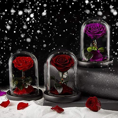 Eterfield Eternal Rose Real Rose Preserved Rose in Glass Dome Gift for Her Thanksgiving Christmas Valentine's Day Mother's Day Anniversary Birthday (Red Rose)