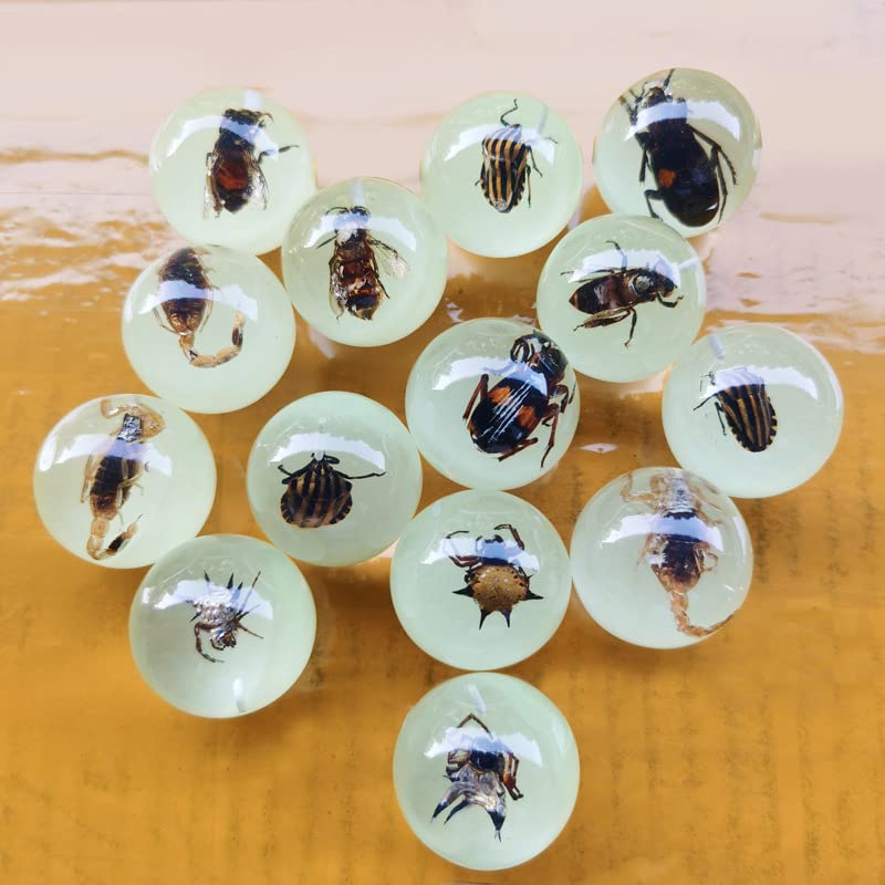 Image of Multiple Psc Spherical Insect Amber Fossil, Spherical Luminous Insect Specimen, Educational and Scientific Amber Collection (8Pcs)