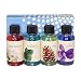 Rainbow Genuine Assorted Fragrances Collection Pack for Rainbow and RainMate