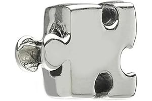 Autistic Heart Drive Dance Puzzle Bead Charm for Bracelets