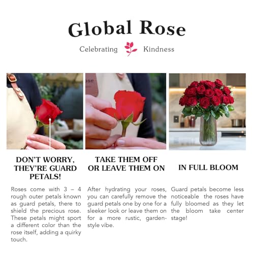 Globalrose Red Roses- 50 Fresh Cut Flowers- Beautiful Gift For Birthday thumb #3