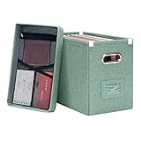 Oterri Hanging Filing File Box with Mesh Pocket, File Organizer Box with Lid, Collapsible Document O