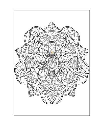 51mt6ew68IL. SL500  - 125 Mandalas: An Adult Coloring Book Featuring 125 of the World&rsquo;s Most Beautiful Mandalas for Stress Relief and Relaxation (Mandala Coloring Books)