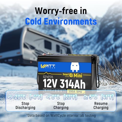 Image of 12V 314Ah Lithium LiFePO4 Battery Mini with Bluetooth 5.0 BMS 200A, 4.01kWh Energy, Upgraded Aluminum Cooling Fins & Braided Copper Wires, upporting devices over 2000W (2 PACK)