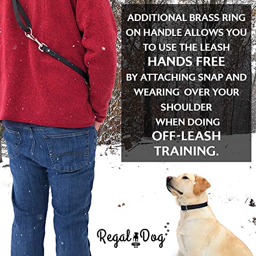 Regal Dog Products Medium Pink Waterproof Dog Collar And Leash Set - Vinyl Coated Biothane Pet Training Collar With Heavy Duty Center Ring & 5'Ft Leash - Other Sizes For Puppy, Small & Large Dogs #TOP7