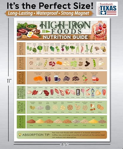 Guía Nutricional Alimentos Ricos en Hierro Iman 8.5x11 miniatura 3