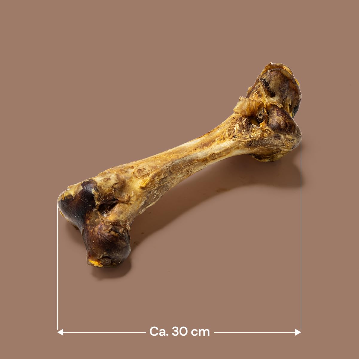 Natural Treats Ostrich Dino Bone for Dogs (1pc) -Dog Bone Pack Chew Range - Image 3