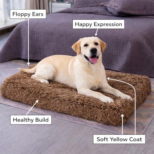 Image of ZEXSAZONE High-Density Rebond Foam Large Dog Bed | 90 x 60 CM Soft Rectangular Pet Bed | Washable, Thick Cushion with Anti-Slip Bottom | Indoor Use | (Coffee, Large, Dog Mattress)